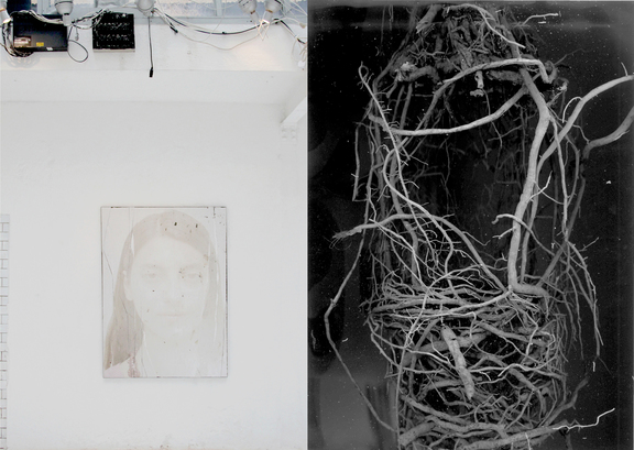 Rechts: Malgorzata Szandala ? o.T., palm tree roots, app.: 45 x 20 cm, 2014, Links: Pawel Mendrek - Laura (situational view), c-print, 100 x 140 cm, 2011/14