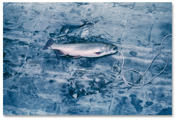 Michael Huey, On the Ice, 2012, Based on a 1950s 35 mm Kodachrome transparency by Richard K. Huey, C-print, diasec-mounted on aluminum, 100 x 150 cm, Edition of five (+2 A.P.)