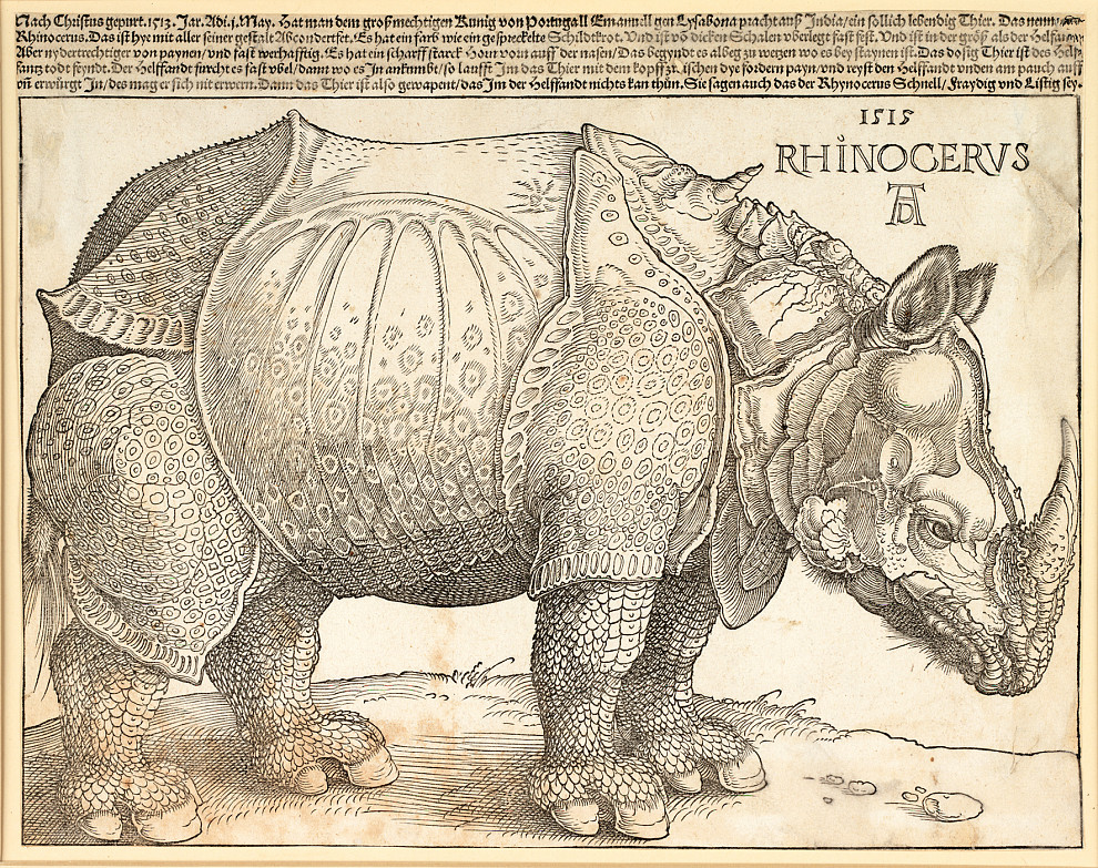 Albrecht Dürer | Das Rhinozerus, 1515 | ALBERTINA, Wien