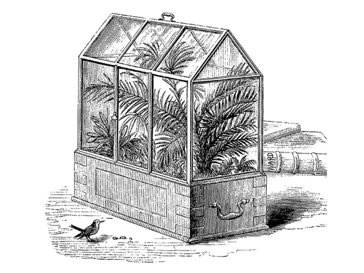 On the Growth of Plants in Closely Glazed Cases, Nathaniel Bagshaw Ward (John Van Voorst, Paternoster Row, 1852) (Ward, p. 71)