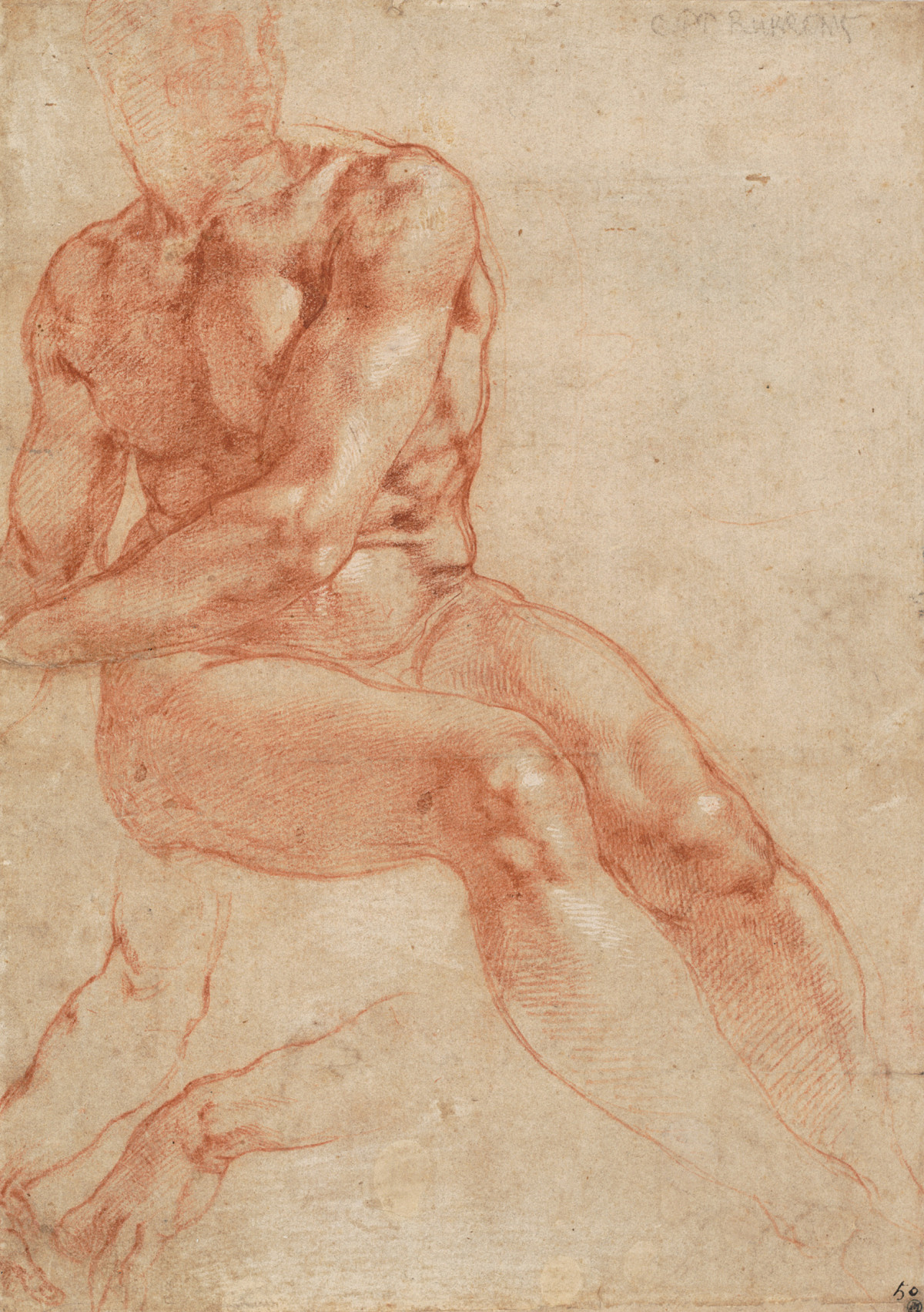 Michelangelo Buonarroti: , 1510-1511