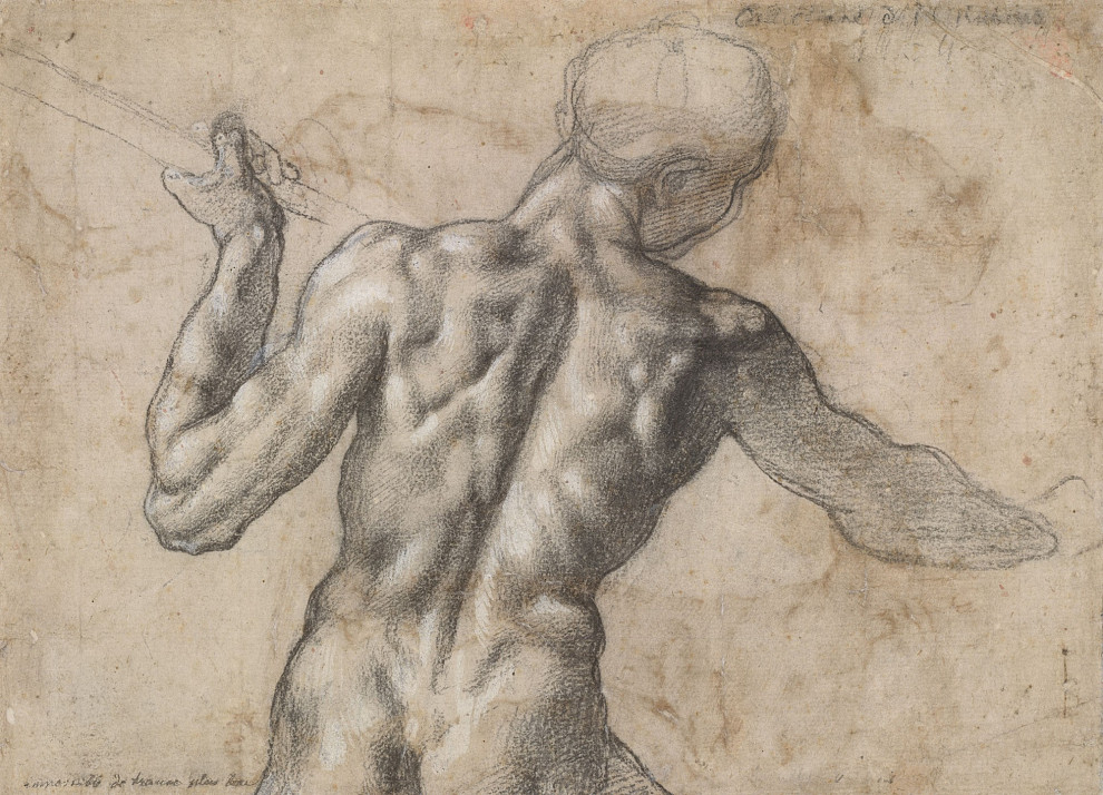 Michelangelo Buonarroti | Männlicher Rückenakt, um 1504 | ALBERTINA, Wien
